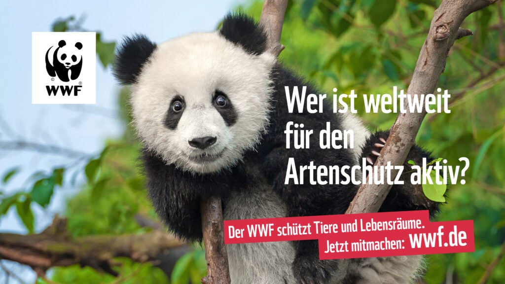 DooH-Kampagne, WWF, Panda, Landscape